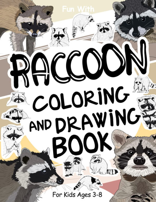 raccoon drawing for kids